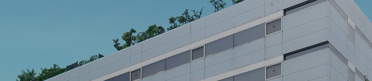 Company Information