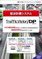 Traffic Vision/DP